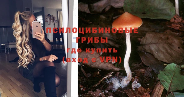 ешки Бронницы