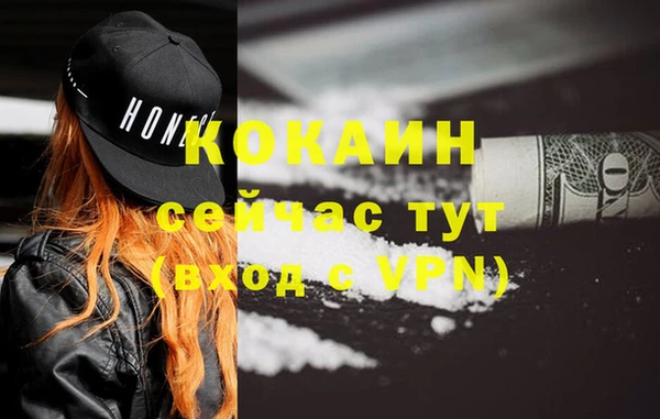 ешки Бронницы